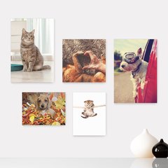Kit 5 Placas Decorativas - Pet Shop - Cachorro - Gato - Animais - Veterinário Casa Quarto Sala - 228ktpl5