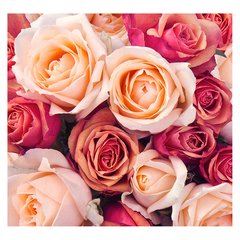 Papel de Parede Flor Rosa Floral Rosas Natureza Sala Painel Adesivo - 228pc - comprar online