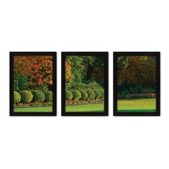 Kit Com 3 Quadros - Campo Árvores Paisagem - 229kq02p - comprar online