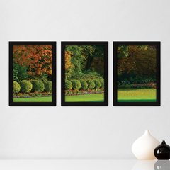 Kit Com 3 Quadros - Campo Árvores Paisagem - 229kq02p