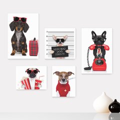 Kit 5 Placas Decorativas - Pet Shop - Cachorro - Animais - Veterinário Casa Quarto Sala - 230ktpl5