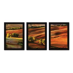 Kit Com 3 Quadros - Campo Árvores Paisagem - 243kq02p - comprar online