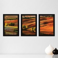 Kit Com 3 Quadros - Campo Árvores Paisagem - 243kq02p