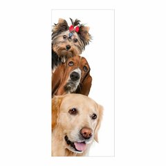 Adesivo Decorativo de Porta - Cachorros - Pet Shop - 2482cnpt na internet