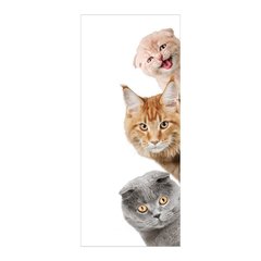Adesivo Decorativo de Porta - Gatos - Pet Shop - 2483cnpt na internet