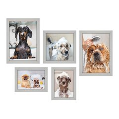 Kit Com 5 Quadros Decorativos - Pet Shop - Cachorro - Animais - Veterinário - 248kq01 - Allodi