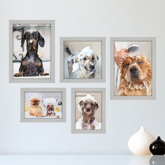 Kit Com 5 Quadros Decorativos - Pet Shop - Cachorro - Animais - Veterinário - 248kq01 - comprar online