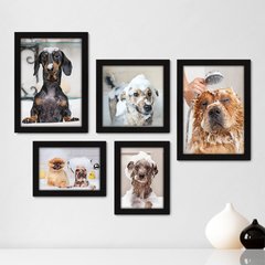 Kit Com 5 Quadros Decorativos - Pet Shop - Cachorro - Animais - Veterinário - 248kq01