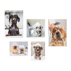 Kit 5 Placas Decorativas - Pet Shop - Cachorro - Animais - Veterinário Casa Quarto Sala - 248ktpl5 - comprar online