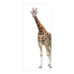 Adesivo Decorativo de Porta - Girafa - 250cnpt na internet
