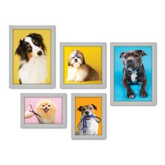 Kit Com 5 Quadros Decorativos - Pet Shop - Cachorro - Animais - Veterinário - 254kq01 - Allodi