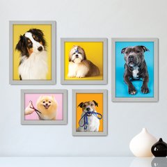 Kit Com 5 Quadros Decorativos - Pet Shop - Cachorro - Animais - Veterinário - 254kq01 - comprar online
