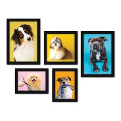 Kit Com 5 Quadros Decorativos - Pet Shop - Cachorro - Animais - Veterinário - 254kq01 na internet