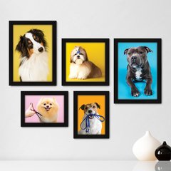 Kit Com 5 Quadros Decorativos - Pet Shop - Cachorro - Animais - Veterinário - 254kq01