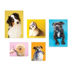 Kit 5 Placas Decorativas - Pet Shop - Cachorro - Animais - Veterinário Casa Quarto Sala - 254ktpl5 - comprar online