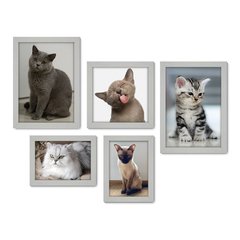 Kit Com 5 Quadros Decorativos - Pet Shop - Gatos - Animais - Veterinário - 255kq01 - Allodi