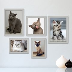 Kit Com 5 Quadros Decorativos - Pet Shop - Gatos - Animais - Veterinário - 255kq01 - comprar online