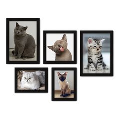 Kit Com 5 Quadros Decorativos - Pet Shop - Gatos - Animais - Veterinário - 255kq01 na internet