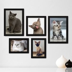 Kit Com 5 Quadros Decorativos - Pet Shop - Gatos - Animais - Veterinário - 255kq01