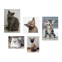Kit 5 Placas Decorativas - Pet Shop - Gatos - Animais - Veterinário Casa Quarto Sala - 255ktpl5 - comprar online