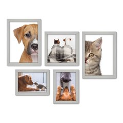 Kit Com 5 Quadros Decorativos - Pet Shop - Gatos - Animais - Veterinário - 256kq01 - Allodi