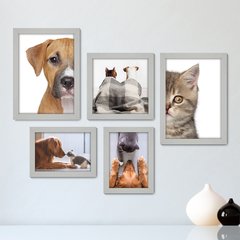 Kit Com 5 Quadros Decorativos - Pet Shop - Gatos - Animais - Veterinário - 256kq01 - comprar online