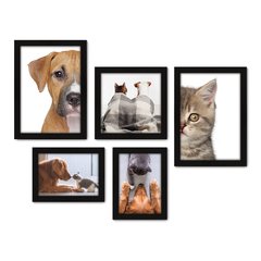 Kit Com 5 Quadros Decorativos - Pet Shop - Gatos - Animais - Veterinário - 256kq01 na internet