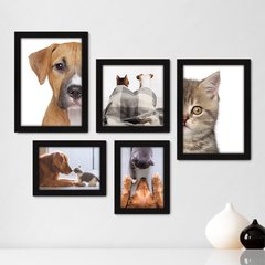 Kit Com 5 Quadros Decorativos - Pet Shop - Gatos - Animais - Veterinário - 256kq01