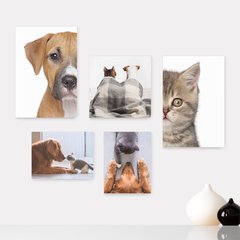 Kit 5 Placas Decorativas - Pet Shop - Gatos - Animais - Veterinário Casa Quarto Sala - 256ktpl5