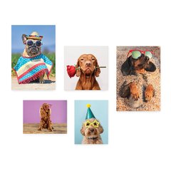 Kit 5 Placas Decorativas - Pet Shop - Cachorro - Animais - Veterinário Casa Quarto Sala - 257ktpl5 - comprar online