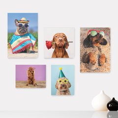 Kit 5 Placas Decorativas - Pet Shop - Cachorro - Animais - Veterinário Casa Quarto Sala - 257ktpl5