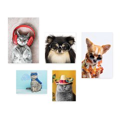 Kit 5 Placas Decorativas - Pet Shop - Gatos - Animais - Veterinário Casa Quarto Sala - 258ktpl5 - comprar online