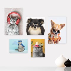 Kit 5 Placas Decorativas - Pet Shop - Gatos - Animais - Veterinário Casa Quarto Sala - 258ktpl5