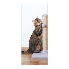 Adesivo Decorativo de Porta - Gato - Pet Shop - 2673cnpt na internet