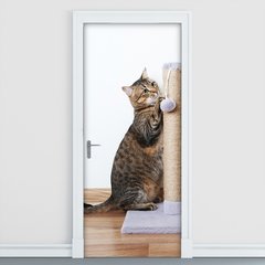 Adesivo Decorativo de Porta - Gato - Pet Shop - 2673cnpt