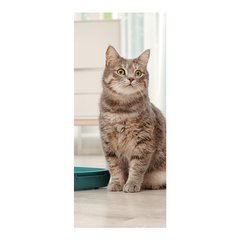 Adesivo Decorativo de Porta - Gato - Pet Shop - 2675cnpt na internet