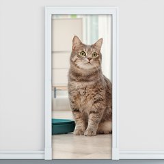 Adesivo Decorativo de Porta - Gato - Pet Shop - 2675cnpt