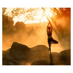 Papel de Parede Yoga Pilates Exercício Saúde Sala Painel Adesivo - 278pc na internet