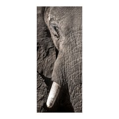 Adesivo Decorativo de Porta - Elefante - 307cnpt na internet