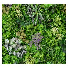 Papel de Parede Jardim Vertical Natureza Verde Sala Painel Adesivo - 311pc - comprar online