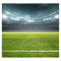 Papel de Parede Futebol Campo Esporte Saúde Sala Painel Adesivo - 322pc - comprar online