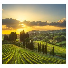 Papel de Parede Viagem Itália Toscana Sala Painel Adesivo - 359pc - comprar online