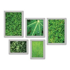 Kit Com 5 Quadros Decorativos - Folhas - Natureza - Folhagem - Verde - 364kq01 - Allodi