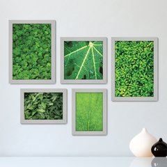 Kit Com 5 Quadros Decorativos - Folhas - Natureza - Folhagem - Verde - 364kq01 - comprar online