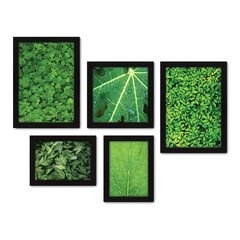 Kit Com 5 Quadros Decorativos - Folhas - Natureza - Folhagem - Verde - 364kq01 na internet