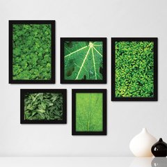 Kit Com 5 Quadros Decorativos - Folhas - Natureza - Folhagem - Verde - 364kq01