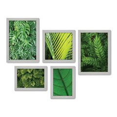 Kit Com 5 Quadros Decorativos - Folhas - Natureza - Folhagem - Verde - 365kq01 - Allodi