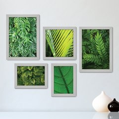 Kit Com 5 Quadros Decorativos - Folhas - Natureza - Folhagem - Verde - 365kq01 - comprar online