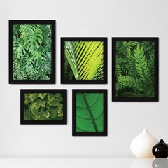 Kit Com 5 Quadros Decorativos - Folhas - Natureza - Folhagem - Verde - 365kq01