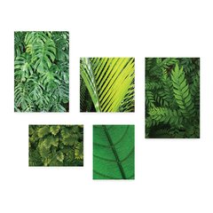 Kit 5 Placas Decorativas - Folhas Natureza Folhagem Verde Casa Quarto Sala - 365ktpl5 - comprar online